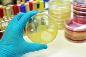 home-4 - First Priority Manufacturing - USA Vitamin Manufacturer Antimicrobial Susceptibility